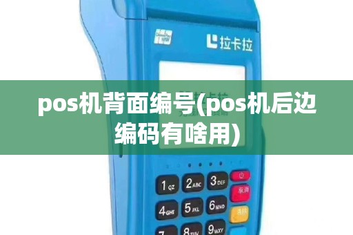 pos机背面编号(pos机后边编码有啥用)