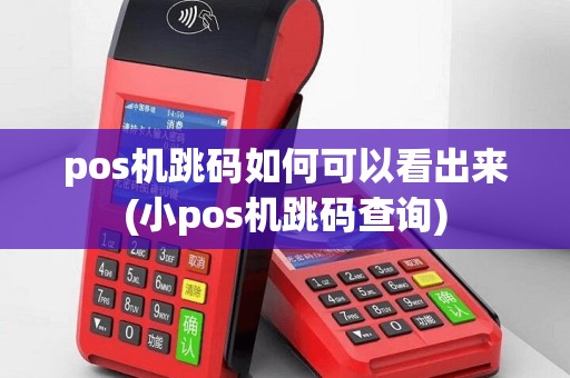 pos机跳码如何可以看出来(小pos机跳码查询)