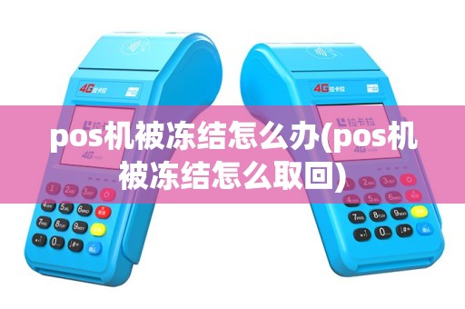 pos机被冻结怎么办(pos机被冻结怎么取回)
