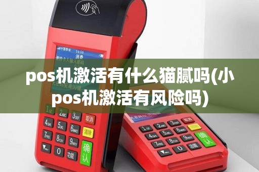 pos机激活有什么猫腻吗(小pos机激活有风险吗)