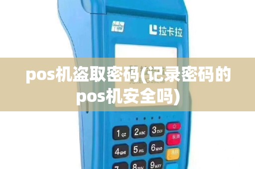 pos机盗取密码(记录密码的pos机安全吗)