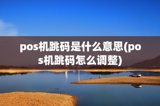 pos机跳码是什么意思(pos机跳码怎么调整)
