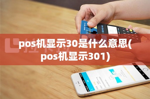 pos机显示30是什么意思(pos机显示301)