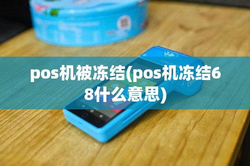 pos机被冻结(pos机冻结68什么意思)