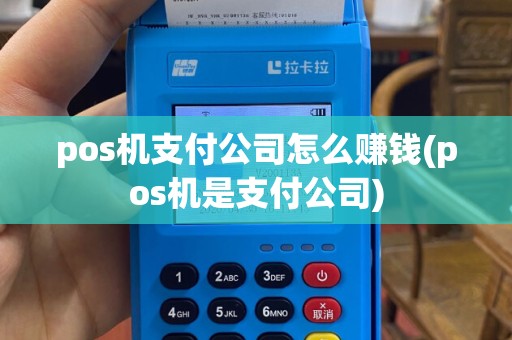 pos机支付公司怎么赚钱(pos机是支付公司)