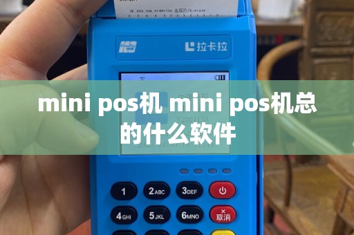 mini pos机 mini pos机总的什么软件