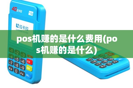 pos机赚的是什么费用(pos机赚的是什么)