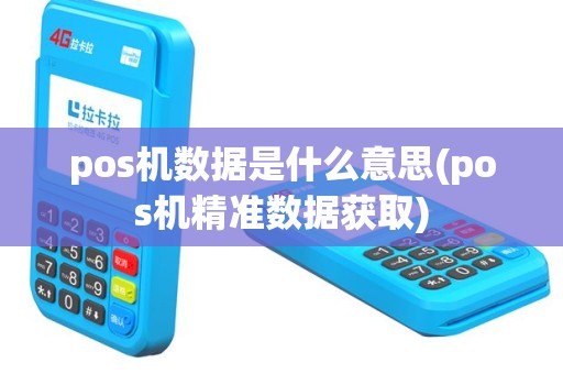 pos机数据是什么意思(pos机精准数据获取)