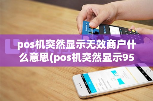 pos机突然显示无效商户什么意思(pos机突然显示95)