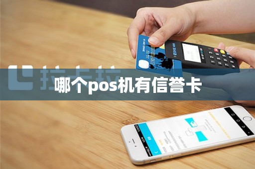 哪个pos机有信誉卡