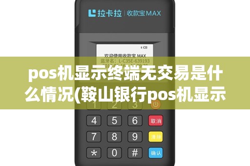 pos机显示终端无交易是什么情况(鞍山银行pos机显示终端无效)