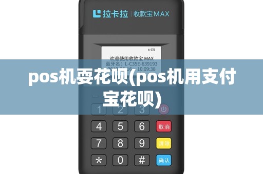 pos机耍花呗(pos机用支付宝花呗)