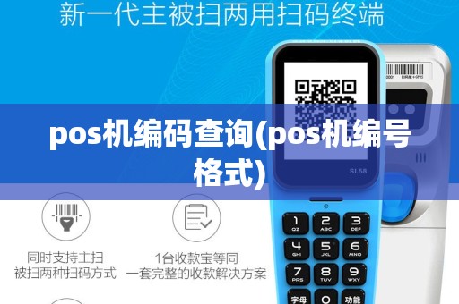 pos机编码查询(pos机编号格式)