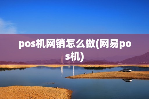 pos机网销怎么做(网易pos机)