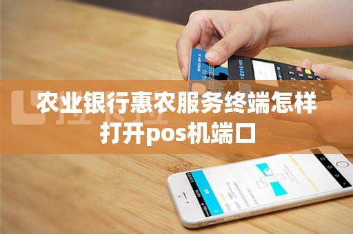 农业银行惠农服务终端怎样打开pos机端口