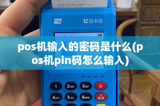 pos机输入的密码是什么(pos机pin码怎么输入)