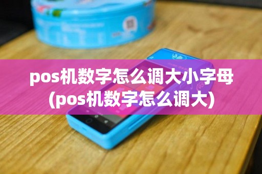 pos机数字怎么调大小字母(pos机数字怎么调大)