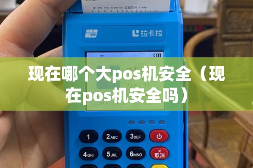 现在哪个大pos机安全（现在pos机安全吗）