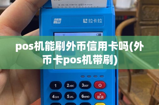 pos机能刷外币信用卡吗(外币卡pos机带刷)