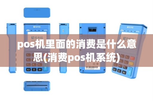 pos机里面的消费是什么意思(消费pos机系统)