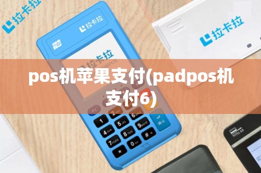 pos机苹果支付(padpos机支付6)