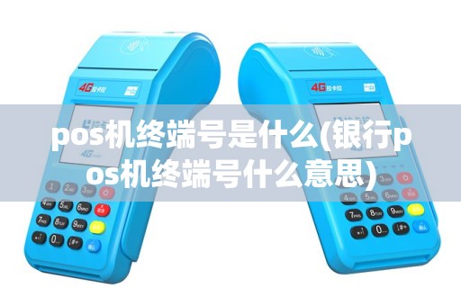 pos机终端号是什么(银行pos机终端号什么意思)