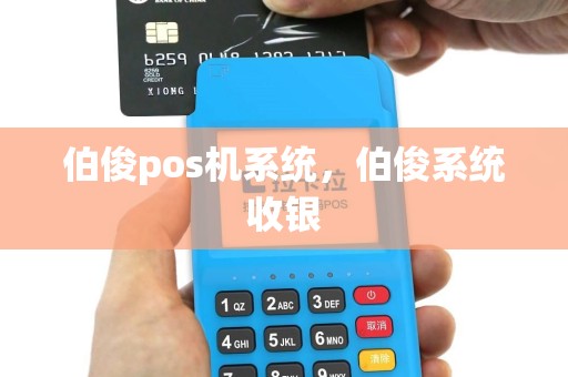 伯俊pos机系统，伯俊系统收银
