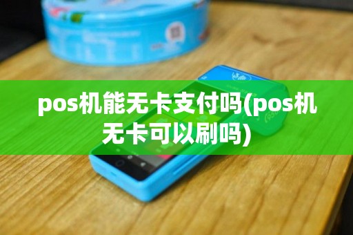 pos机能无卡支付吗(pos机无卡可以刷吗)