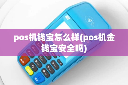 pos机钱宝怎么样(pos机金钱宝安全吗)