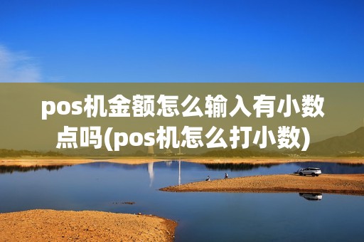 pos机金额怎么输入有小数点吗(pos机怎么打小数)