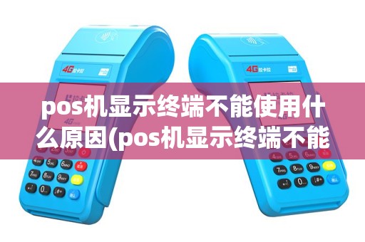 pos机显示终端不能使用什么原因(pos机显示终端不能使用)