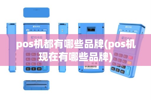 pos机都有哪些品牌(pos机现在有哪些品牌)