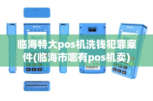 临海特大pos机洗钱犯罪案件(临海市哪有pos机卖)