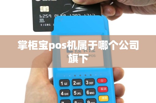 掌柜宝pos机属于哪个公司旗下