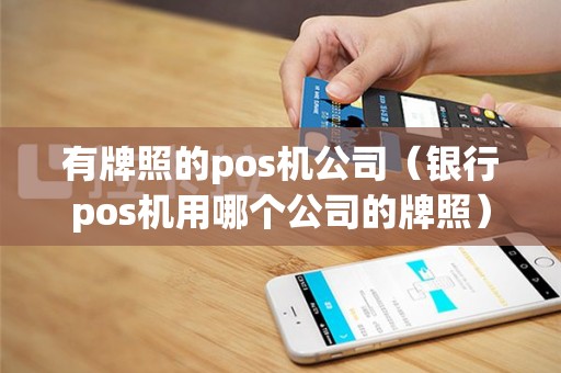 有牌照的pos机公司（银行pos机用哪个公司的牌照）