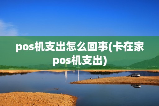pos机支出怎么回事(卡在家pos机支出)