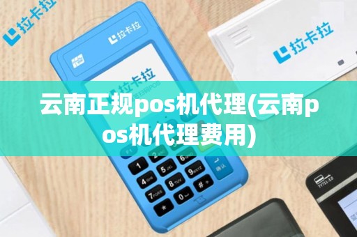 云南正规pos机代理(云南pos机代理费用)
