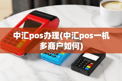 中汇pos办理(中汇pos一机多商户如何)