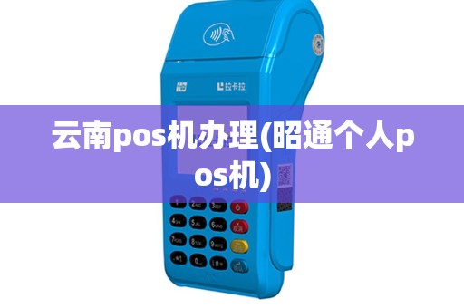 云南pos机办理(昭通个人pos机)