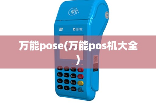 万能pose(万能pos机大全)