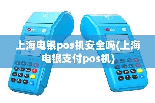 上海电银pos机安全吗(上海电银支付pos机)