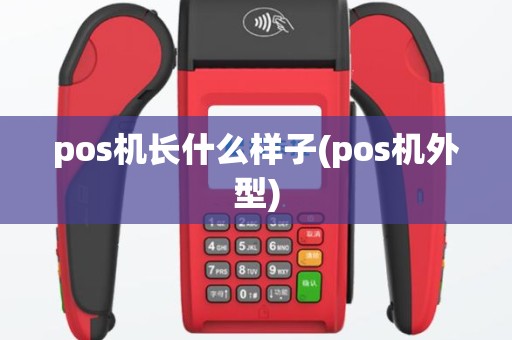 pos机长什么样子(pos机外型)