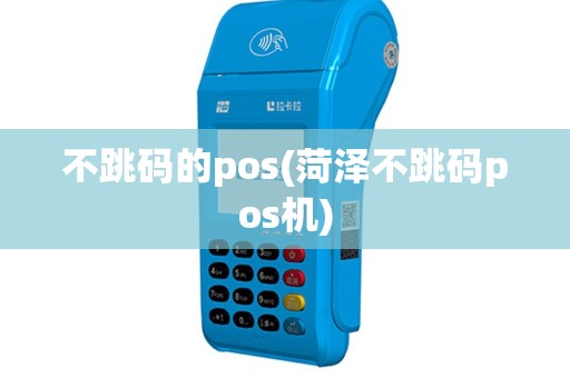 不跳码的pos(菏泽不跳码pos机)
