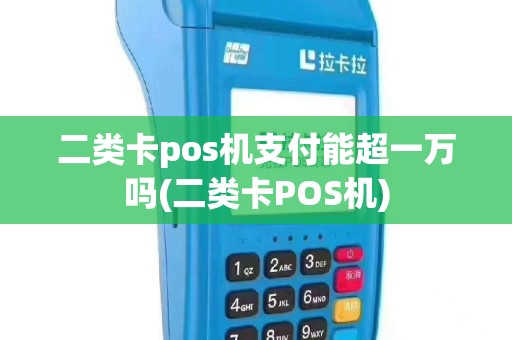 二类卡pos机支付能超一万吗(二类卡POS机)