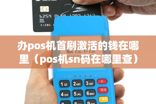 办pos机首刷激活的钱在哪里（pos机sn码在哪里查）