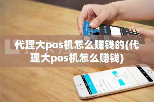 代理大pos机怎么赚钱的(代理大pos机怎么赚钱)