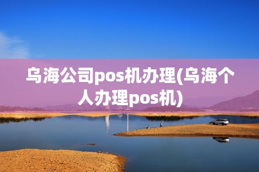 乌海公司pos机办理(乌海个人办理pos机)