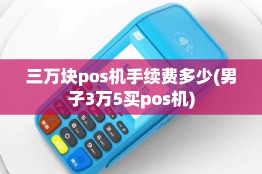 三万块pos机手续费多少(男子3万5买pos机)