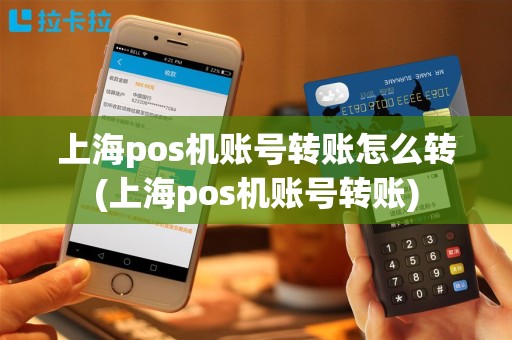 上海pos机账号转账怎么转(上海pos机账号转账)