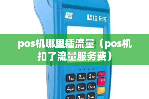 pos机哪里插流量（pos机扣了流量服务费）